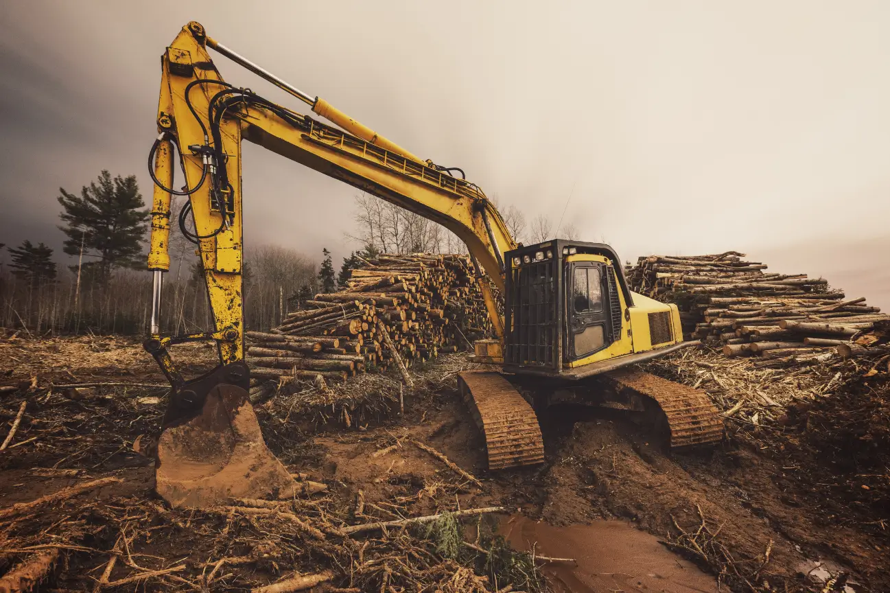 Large yellow excavator preparing a forestry site for RHL Build HB Earthworks.